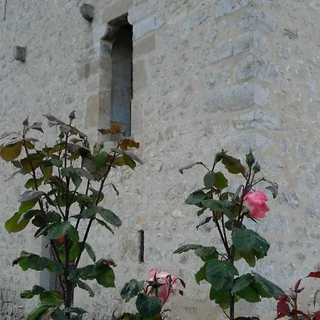 Casa Torre Cantoblanco Auberge de jeunesse Barron