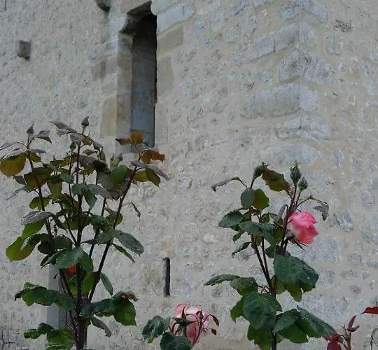 Casa Torre Cantoblanco Hostel Barrón